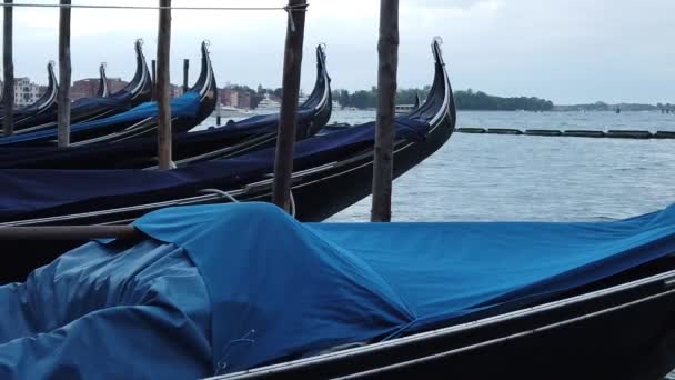 Венецианские Гондолы Причале Венецианского Канала Качающиеся Воде — стоковое видео