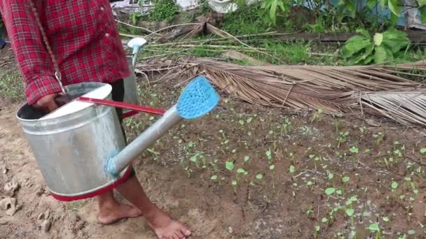 Unrecognizable Asian Man Waters Plants Two Watering Cans — ストック動画