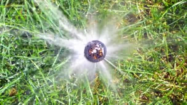 Close Circular Water Sprinkler Splashing Pressurized Water Garden Grass — ストック動画