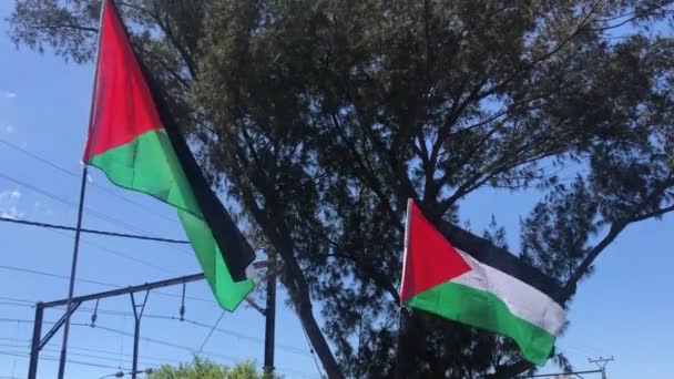 Широко Розстріляний Сільських Місцевостях Двох Національних Прапорів Палестини Махали Вітром — стокове відео