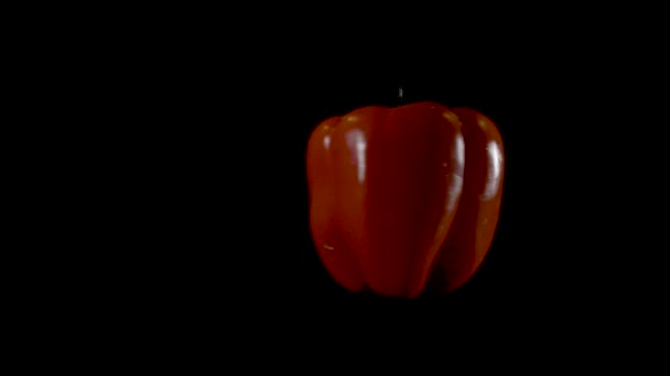 Slow Motion Video Isolated Big Red Pepper Spinning Black Background — 비디오