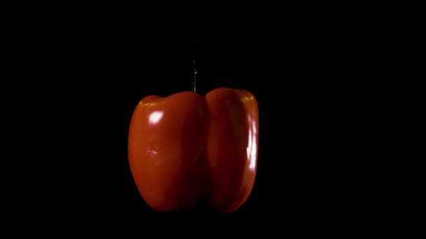 Isolated Big Red Pepper Spinning Black Background — Αρχείο Βίντεο