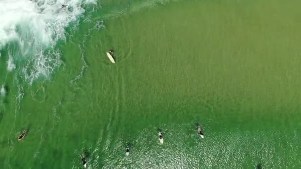 Queensland Beach Gold Coast Surfers Competing Good Wavers Australia — Stockvideo