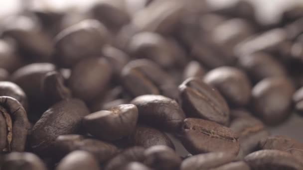 Fresh Coffee Beans Background Detailed Macro Panning Shot — Vídeo de Stock