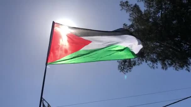 Χέρι Κοντά Πλάνο Της Εθνικής Σημαίας Της Παλαιστίνης Κυματίζει Στον — Αρχείο Βίντεο