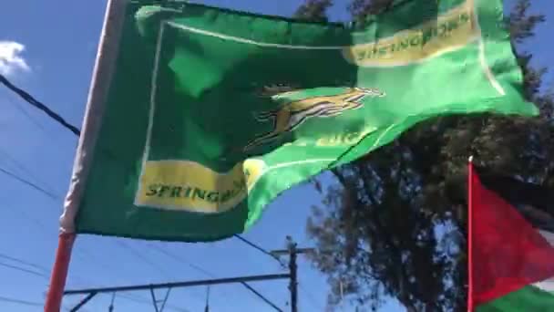 Hand Held Shot Waving Flag South African Rugby Team Springboks — Stock Video