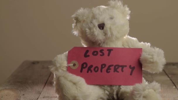 Teddy Bear Red Label Displaying Lost Property — Stockvideo