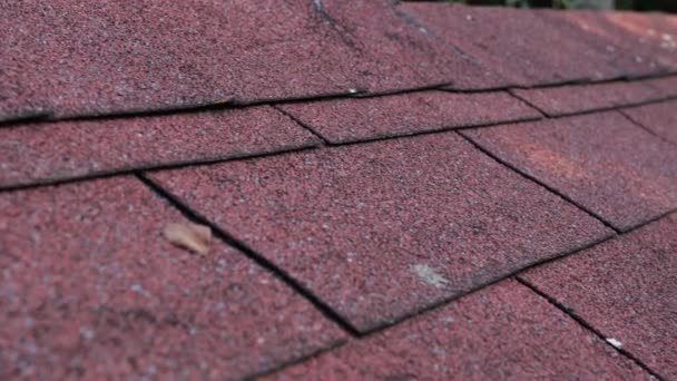 Details Red Shingle Roof — 图库视频影像
