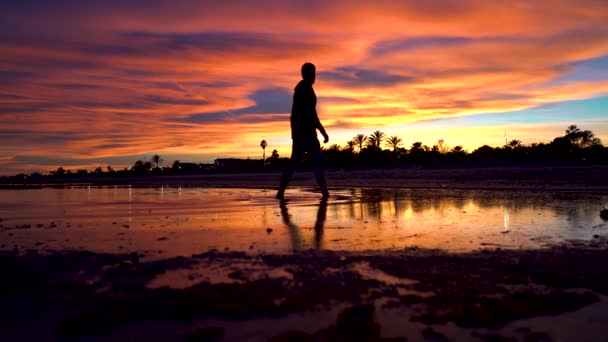 Man Walking Water Can Take His Eyes Beautiful Sunset Contemplates — Vídeos de Stock