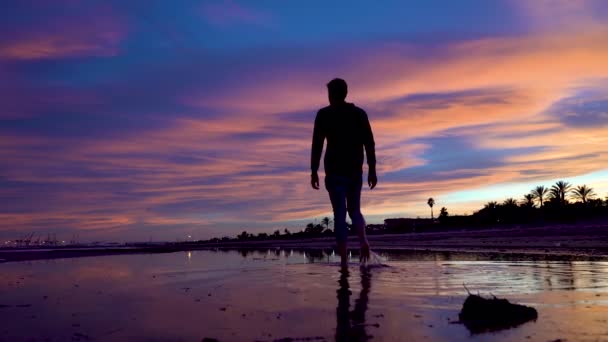 Espladas Man Walks Horizon Water Beautiful Beach Incredible Sunset Backlight — 비디오