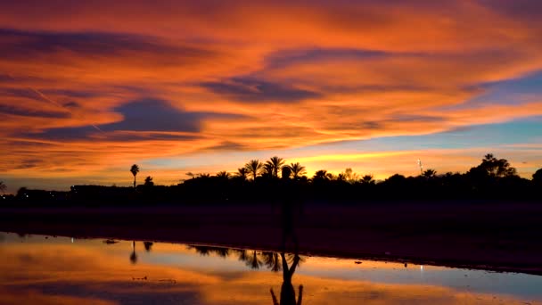Man Walking Amazing Beach Sunset Water Reflects Beautiful Colorful Sky — Vídeos de Stock