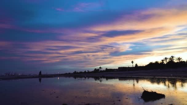 Man Walks Away Calmly Walking Beach Beautiful Sunset His Silhouette — Vídeos de Stock