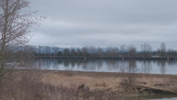 Small Speed Boat Cruising River Cloudy Fall Day Bare Trees — Stock videók