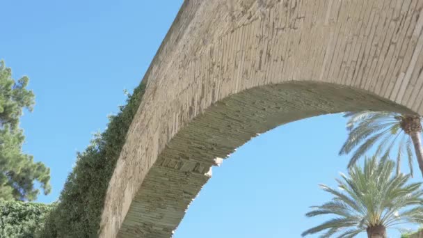 Arco Drassana Panning Pond Sunny Day Palm Trees Background — Stock Video