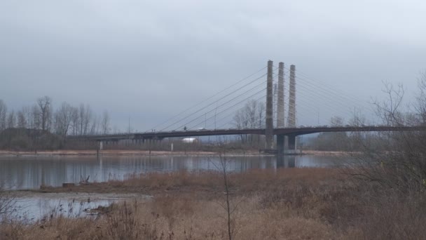 Local Traffic Bridge Blue River Bare Trees Fallen Leaves Cloudy — Video