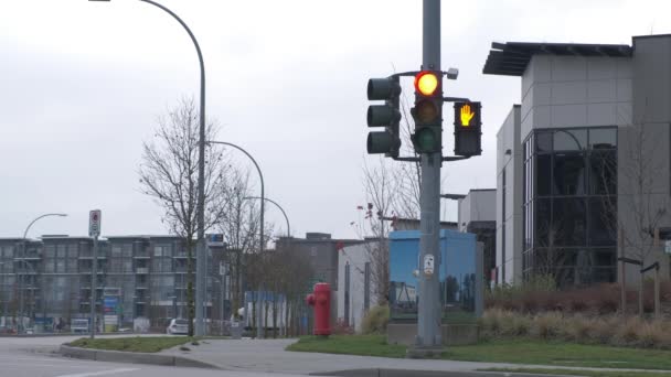 Traffic Light Red Residential Intersection Black Car Passing Frame Regular — Stockvideo