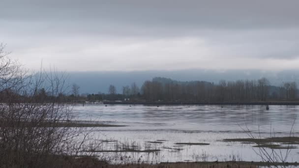 Blue River Flowing Cloudy Day Bare Branches Dry Grass Foreground — Vídeos de Stock