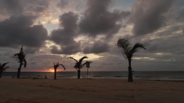 Sunset Clouds Senegambia Beach Serrekunda Gambia Africa Palms Blowing — Video
