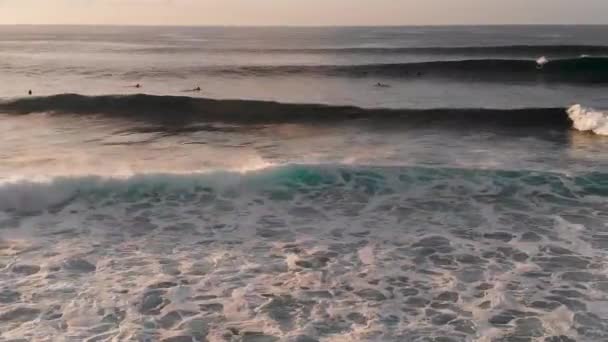 Surfaři Sledovat Pak Chytit Různé Vlny Při Západu Slunce Maui — Stock video
