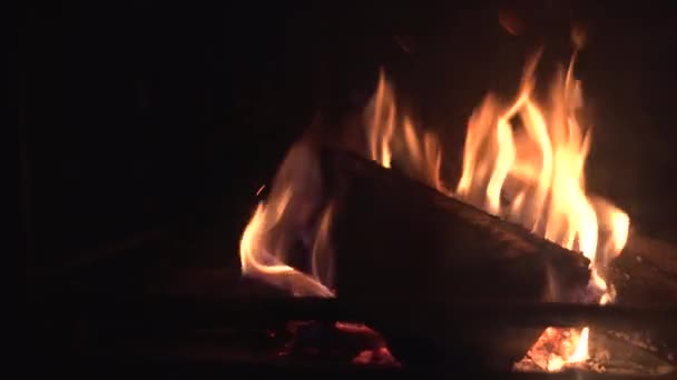 Traveling Chimney Glass Flames Protective Glass Make Wood Burn Heat — Vídeo de Stock