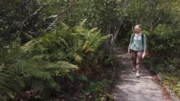 Wide Shot Pretty Blonde Mature Woman Walks Cranberry Glades Botanical — Vídeo de stock