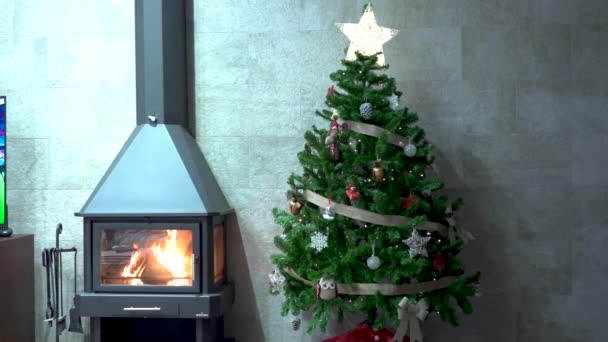 Christmas Tree Decorated Iron Fireplace Fire Plugged — Stock Video