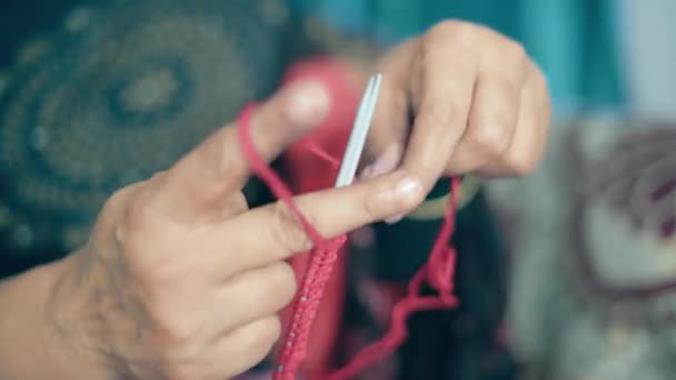 Woman Starting Knitting First Row Red Wool Needle Crafts Close — Stockvideo