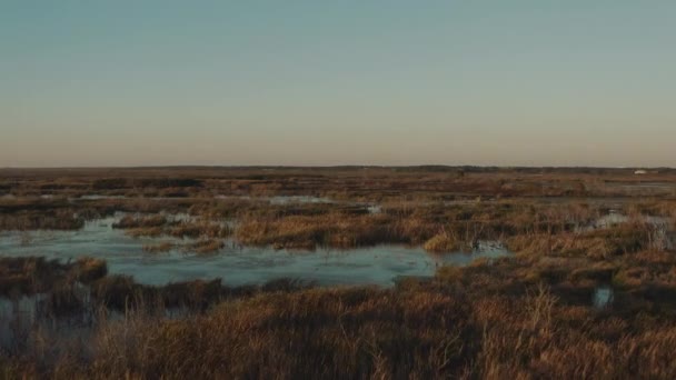 Low Aerial Footage Flying Lush Florida Marshlands — Vídeos de Stock