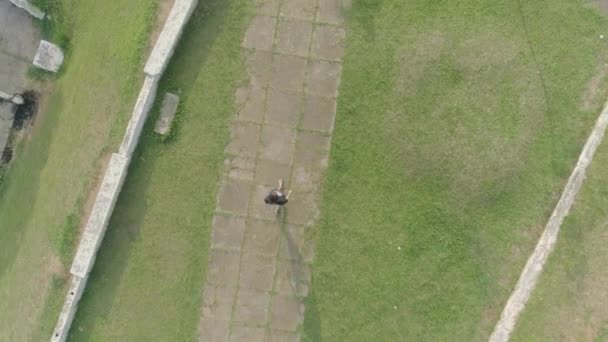 Aerial Follows Man Walking Pathwalk Surrounded Grass — 비디오