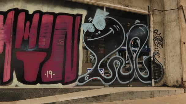 Sao Paulo Pan Shows Some Graffiti Walls Included One Kobra — Vídeo de stock