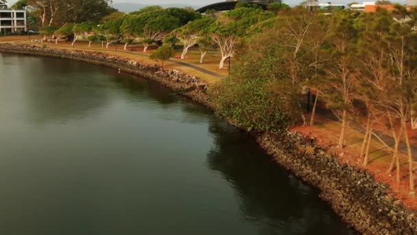 Peaceful Sunrise Tree Lined Bank Canal — Stockvideo