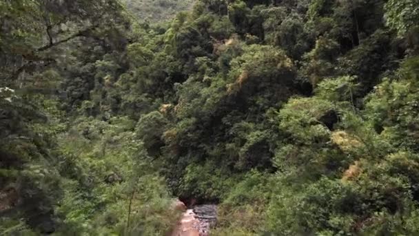 Drone Flying Small River Peruvian Amazon Overlooking Huge Green Trees — Vídeos de Stock