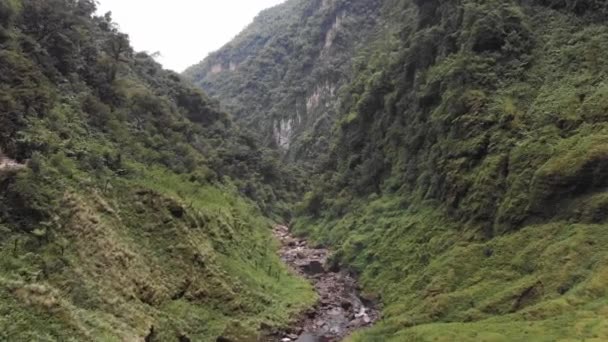 Drone Shot Big Green Canyon Valley Amazon Peru — Stock Video