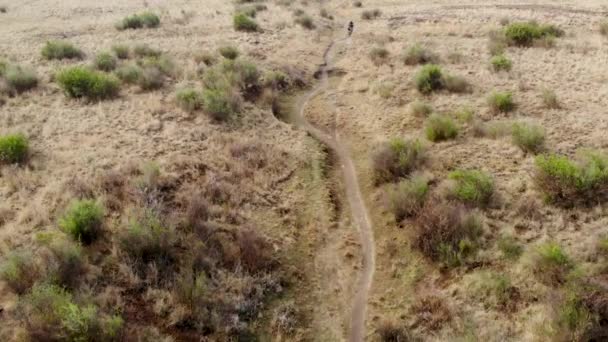 Aerial Mountain Bikers Single Track Slow Motion — Video Stock