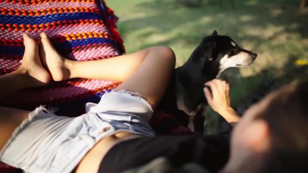 Close Shot Young Woman Relaxing Hammock Strocking Cute Dog Garden — Video