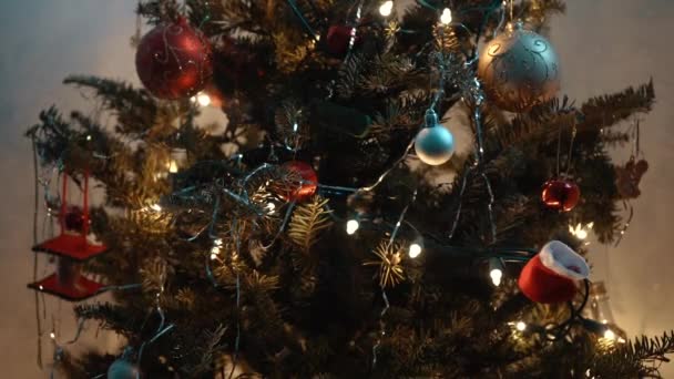 Focus Racking Decorated Christmas Tree — Wideo stockowe