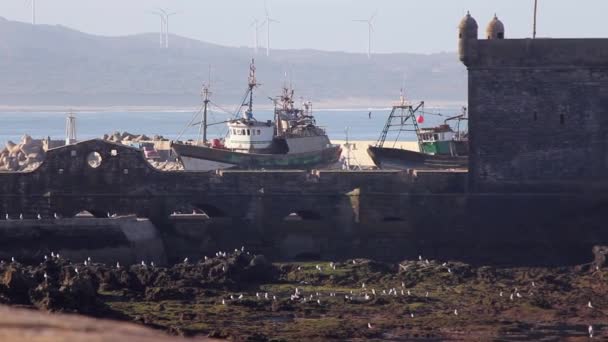 Panning Right Fishing Port Essaouira Morocco Fortified Tower Out Sea — Stockvideo