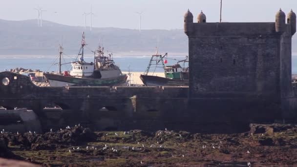 Castillo Como Fortificaciones Fuera Del Puerto Pesquero Essaouira Marruecos — Vídeos de Stock