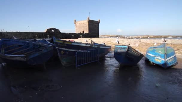 Movimiento Steadicam Moviéndose Largo Barcos Pesca Fortificaciones Puertas Castillo Essaouira — Vídeo de stock