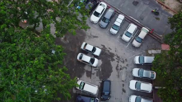 Повітряні Птахи Вимкнули Багато Автостоянок Тій Місцевості Птахи Полетіли Дерева — стокове відео