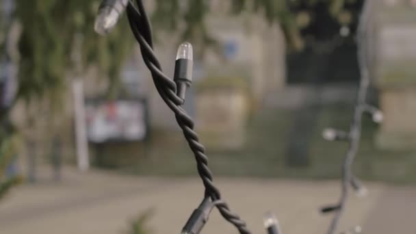 Unlit Christmas Lights Hanging Tree Town Centre — Wideo stockowe