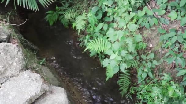 Acqua Che Scorre Lungo Ruscello Pan Sinistra Destra — Video Stock