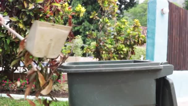 Throwing Dry Leaves Trash Static — Stockvideo