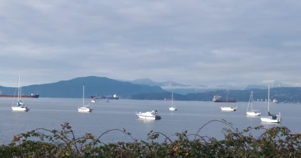 Multiple Boats Tankers Anchored Close Shore Snowy Peaks Clouds Background — 비디오