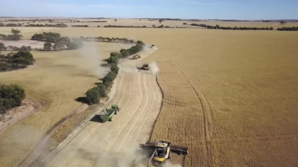 Aerial View Tractors Other Farming Machinery Harvesting Vast Field Grain — Vídeo de Stock