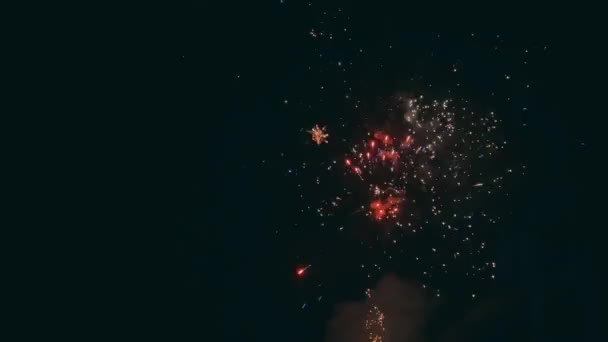 New Year Fireworks Ending Beautiful Year Colorful Fireworks Black Sky — Stock videók