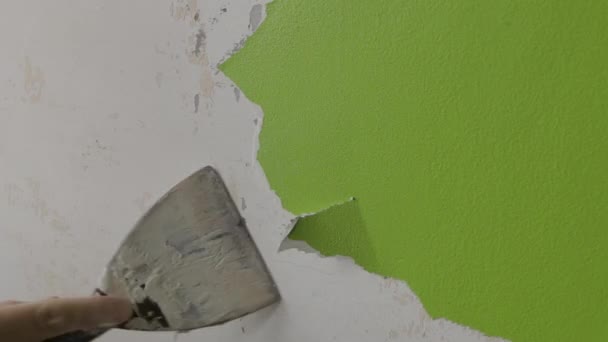 Устойчивый Снимок Человека Соскребающего Зеленую Краску Стены Занятой Ремонтом — стоковое видео
