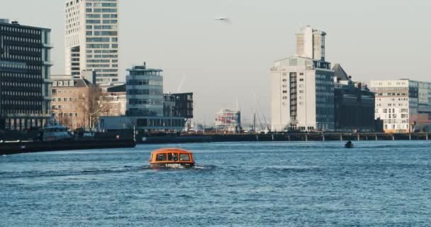 Excursion Boat Floating Amsterdam Clear Day Shot Golden Hour — 图库视频影像