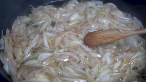 Detail Shot Fried Onion Pan Oil – stockvideo