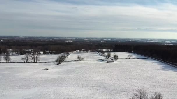 Aerial Footage Cold Winter Landscape — Video